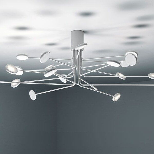 Arbor 12PL White