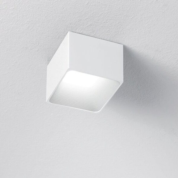 Darma 10P White