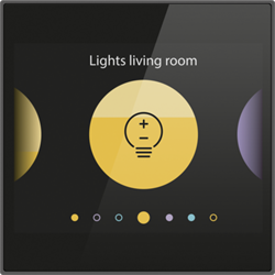 Niko (65) Home Control traditioneel - digital black bedieningsschermpje