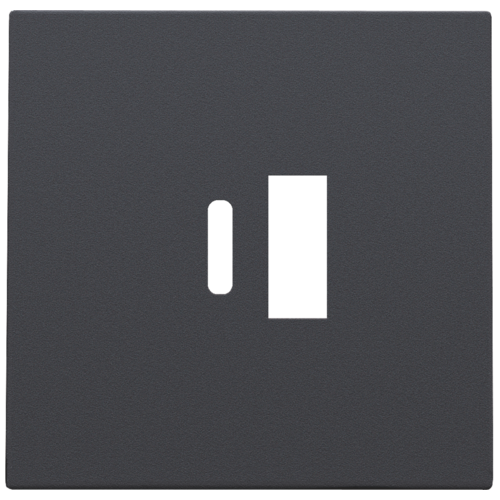 Niko (36) afwerkingsset antraciet - centraalplaatje voor usb-lader AC