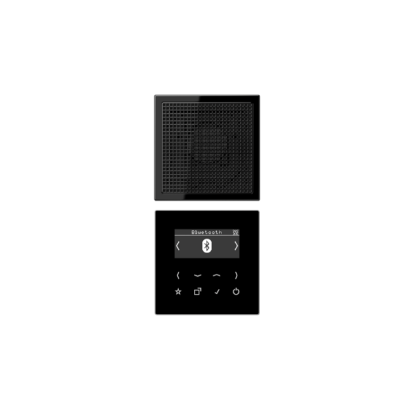 Jung (12) LS990 fm/dab+/bluetooth inbouwradio met luidspreker - zwart