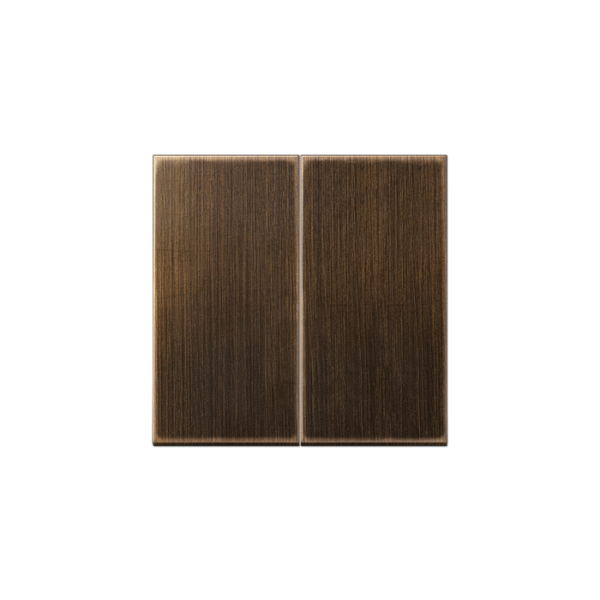 Jung (40) LS990 toets voor schakelaar dubbel of drukknop dubbel - messing antiek